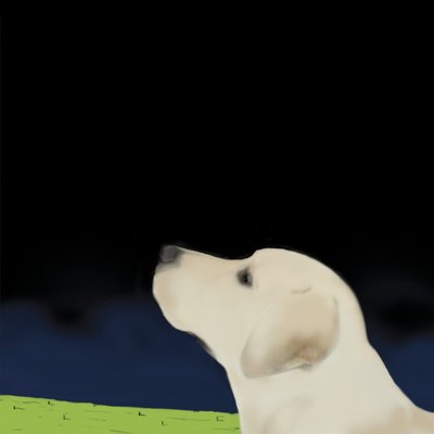 Yellow Dog Profile, 2008 by Marjorie Weiss